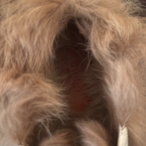 Gucci sneaker with bee - Picture 8 of 9